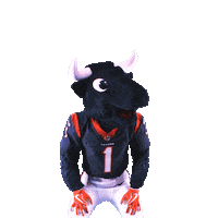 Football Nfl Sticker by Houston Texans