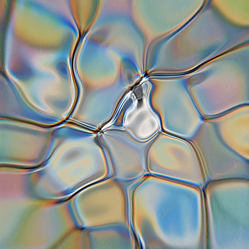 animation love GIF by POST-WEB