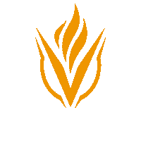 vigorlabs logo vigor labs vigor labs logo Sticker