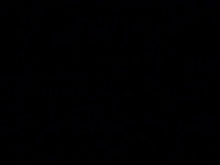 season 5 netflix GIF by Gilmore Girls 