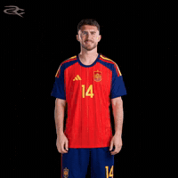 Fifa World Cup Spain GIF by Respective