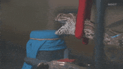 snake gift by MOOT