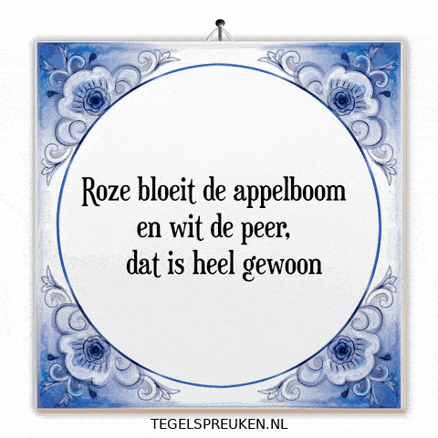 Humor Wijsheid GIF by Tegelspreuken.nl