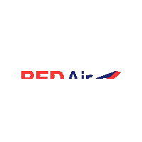 redairdo flight avion airlines vuelo Sticker