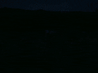 Audreynunajokesonme GIF by AUDREY NUNA