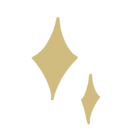 Shine Overlay Sticker