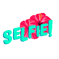 claro guatemala summer Sticker by Claro Costa Rica