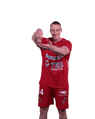 Wilhelmshaven Whv Sticker by whvhandball