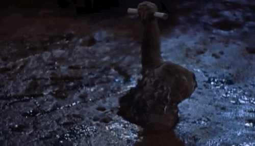 classic film swamp GIF by Warner Archive