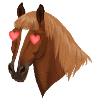 In Love Valentine Sticker by Star Stable