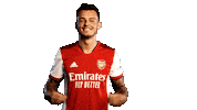 Celebrate Premier League Sticker by Arsenal