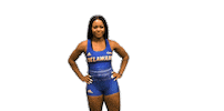 College Sports Ncaa Sticker by Delaware Blue Hens