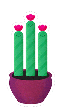 tomaszgsior plant plants cactus pot Sticker
