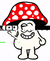 oklahomafungi love happy smile hello GIF