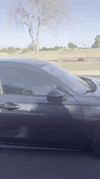 Erikbrill57 car monster civic monsterenergy GIF