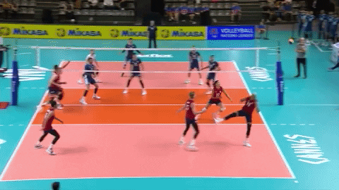 GIF by Volleyball World