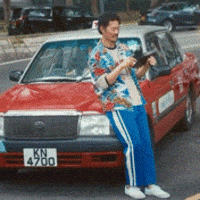 Tiger Mirror GIF by ViuTV