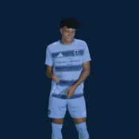 Major League Soccer Football GIF by Sporting KC