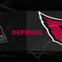 Football Nfl GIF by Arizona Cardinals