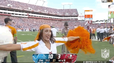 National Football League GIF by NFL