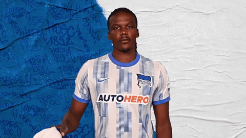 Bundesliga Berlin GIF by Hertha BSC