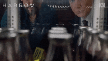 What Is That Abc Tv GIF by ABC TV + IVIEW