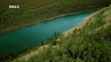 gold canada GIF by DMAX