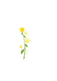 yarasgallery flower yellow spring tulip Sticker
