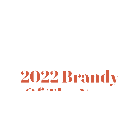 USASpiritsRatings brandy usa spirits ratings usa ratings best brandy Sticker