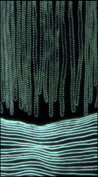 Art Glow GIF by Orla in Berlin