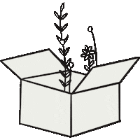 Flower Gift Sticker