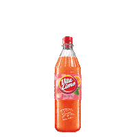 Limo Wow Sticker by Vita Cola