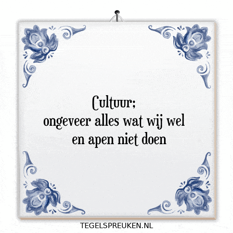 Humor Nl GIF by Tegelspreuken.nl