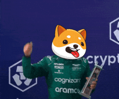 Money Crypto GIF by Baby Doge Coin