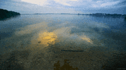 photography storm GIF by Living Stills