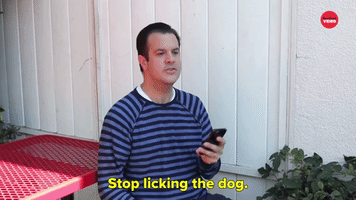 Stop Licking The Dog