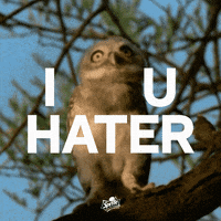 summer love GIF by Sprite Oficial