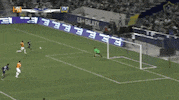 soccer celebrate GIF by LA Galaxy