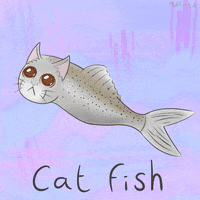 Social Media Cat GIF