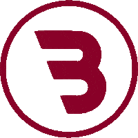 Borol logo borol Sticker