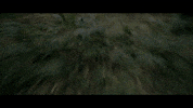 Mtb Squatch GIF by StifMTB