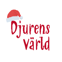 Christmas Sticker by Djurens Värld Halmstad