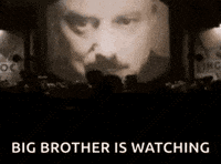 Big Brother GIF