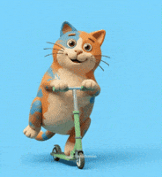 Cute Cat Scooter GIF