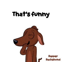 Fun Lol GIF by VeeFriends