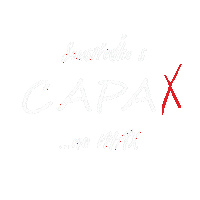 Dance Cat Sticker by CAPAX... tanec na MAX