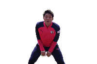 Cerezo Sticker by セレッソ大阪