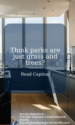 Premier Sothebys International Realty GIF by David Liberatore, Realtor