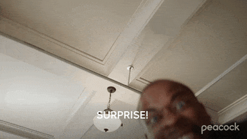Dule Hill Surprise GIF by PeacockTV