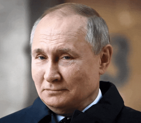 Vladimir Putin GIF